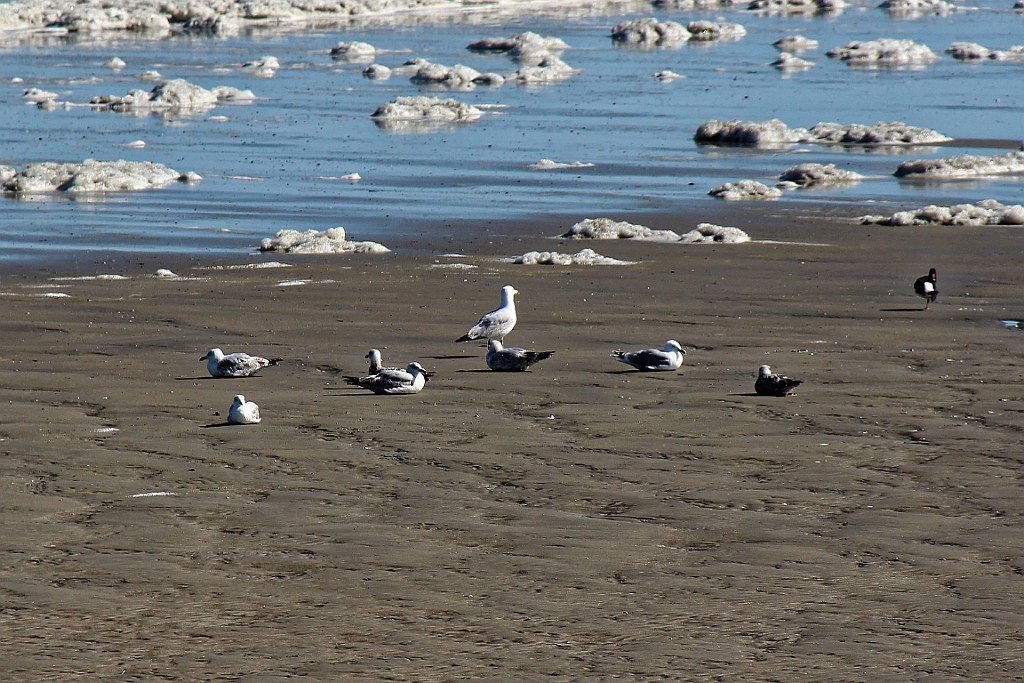 NP0515_019.jpg