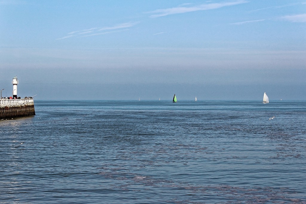 NP0515_024.jpg