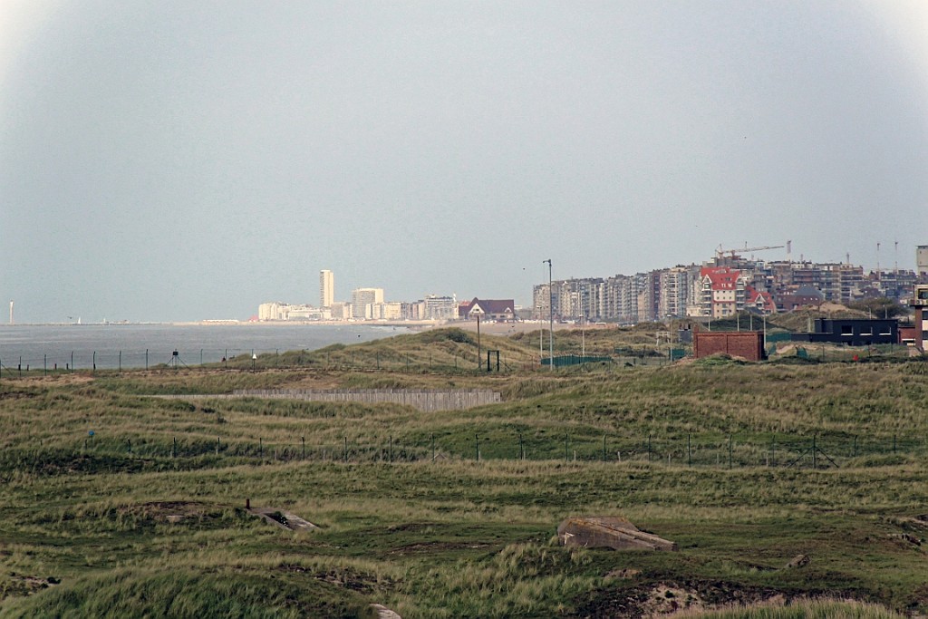NP0515_088.jpg