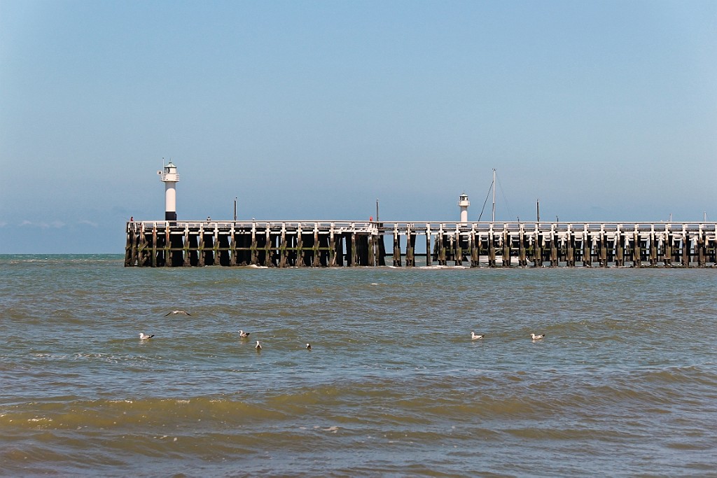 NP0515_113.jpg