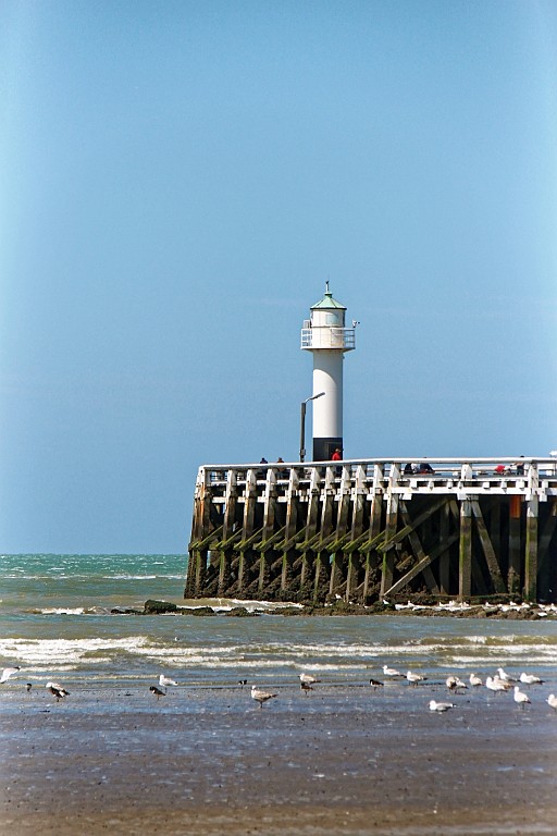 NP0515_116.jpg