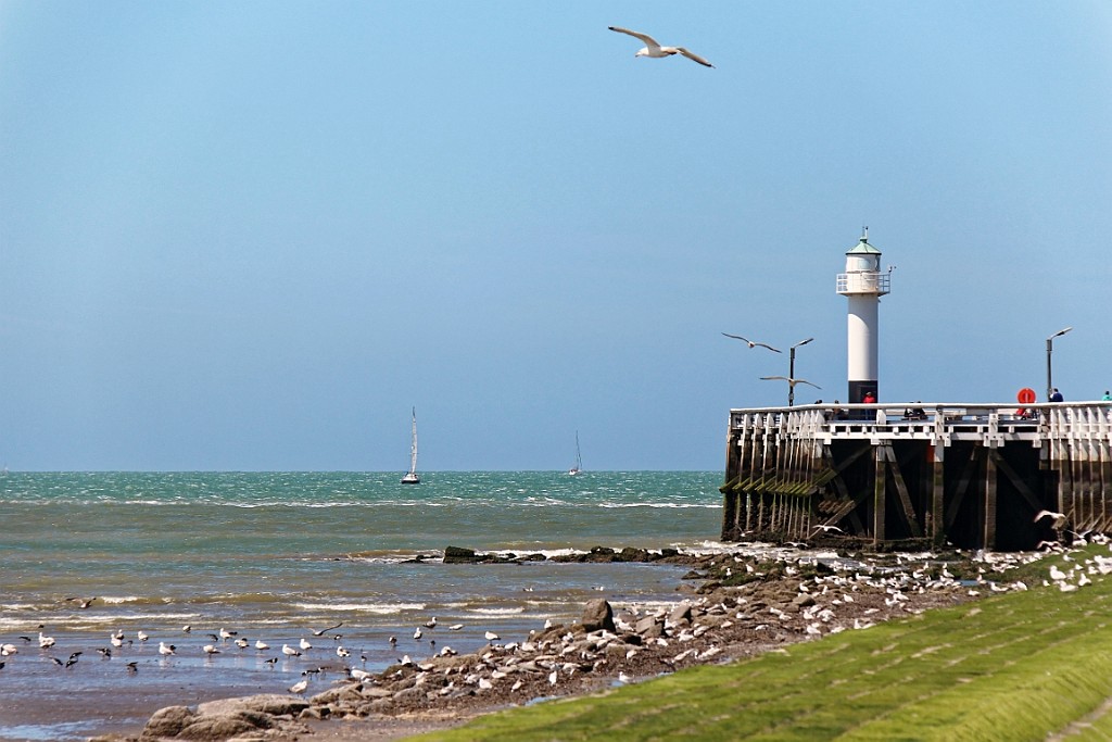 NP0515_117.jpg