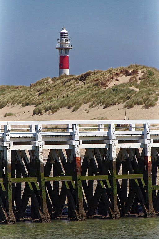 NP0515_119.jpg