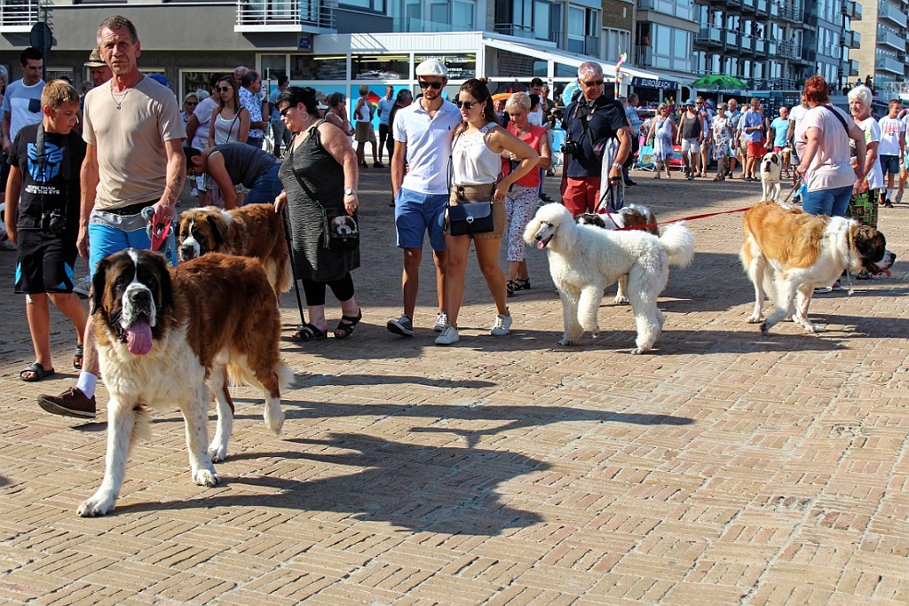 NP0819 (75).jpg