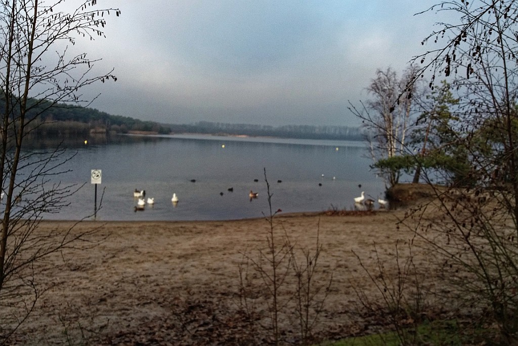 SPKM1219 (20).jpg