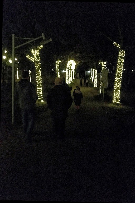 SPKM1219 (31).jpg