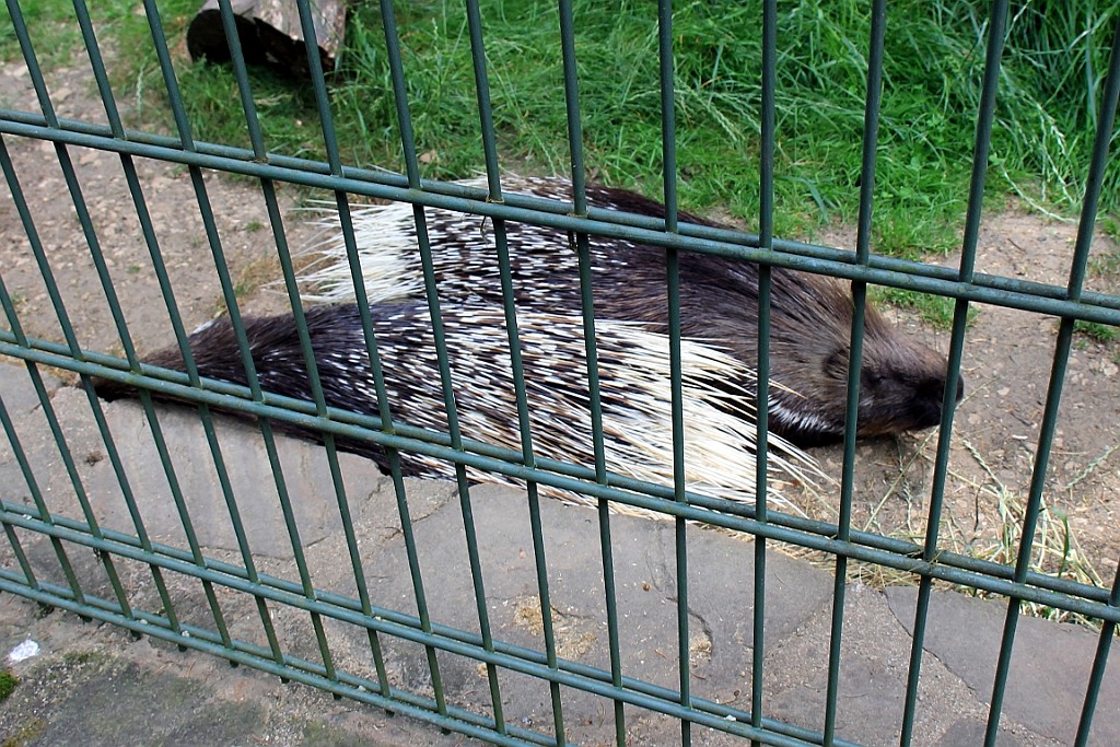 StKy0719 (61).jpg