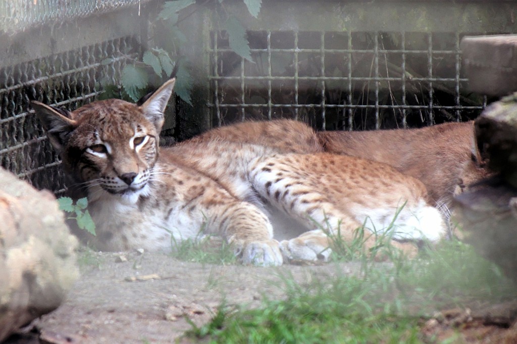 StKy0719 (77).jpg