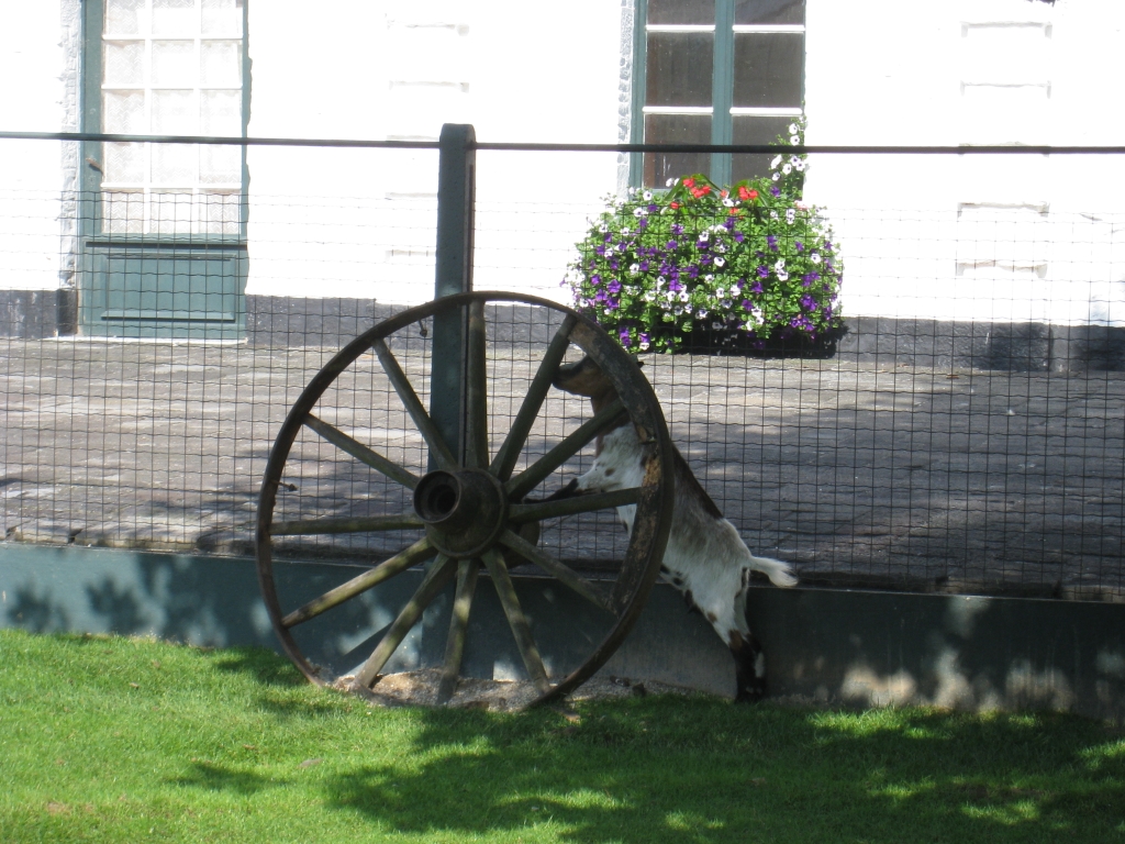 Bergen020.JPG