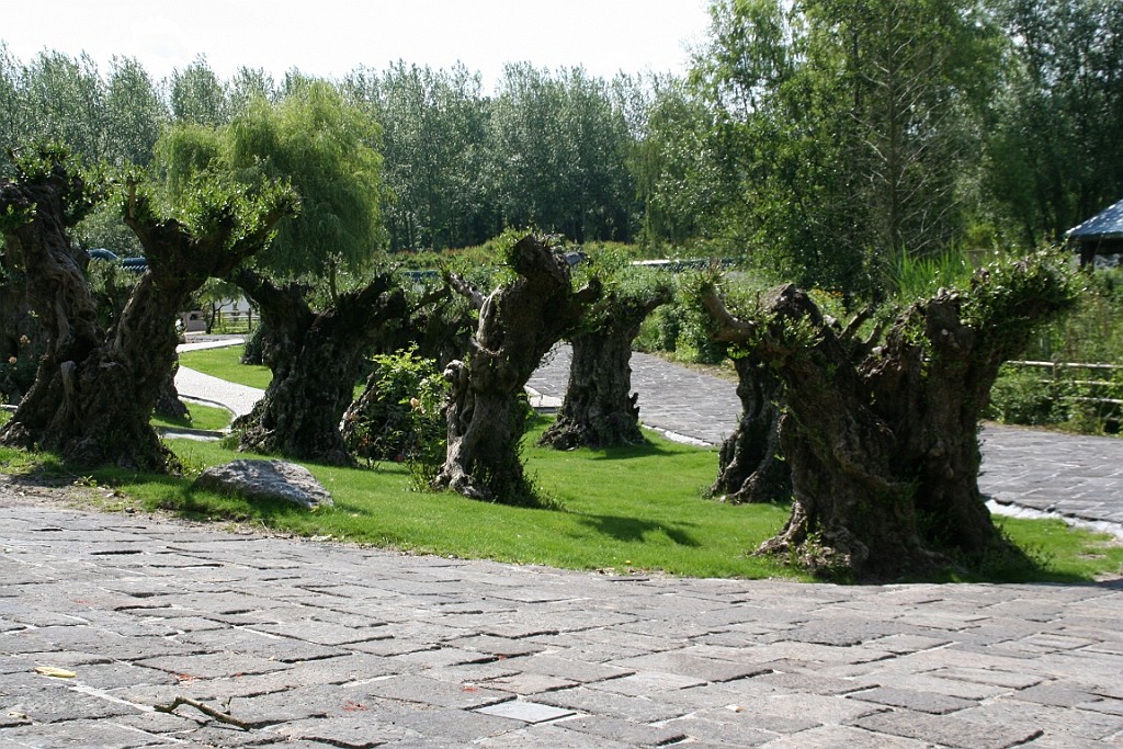 Bergen066.JPG