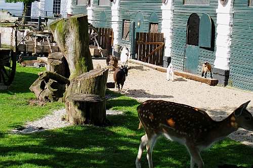 Bergen011