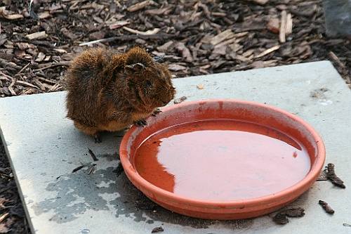 Bergen014