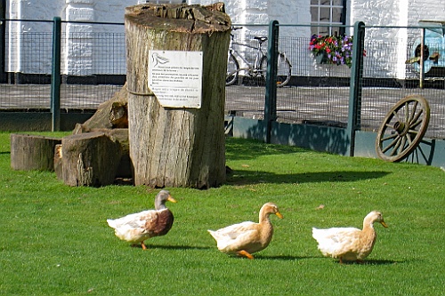 Bergen019