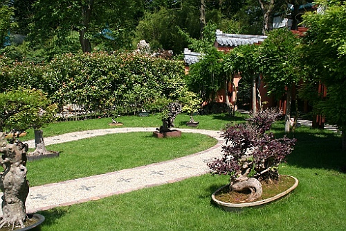 Bergen061
