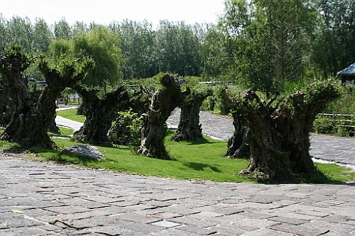 Bergen066
