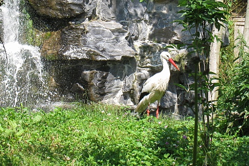 Bergen068