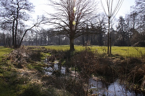 Bokrijk16