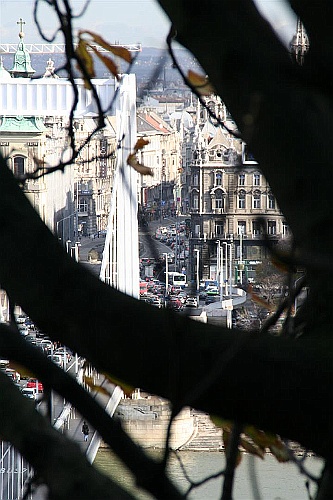 buda0033