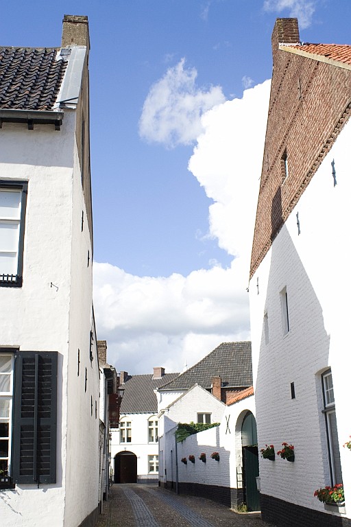SBCD20100829 (15).jpg