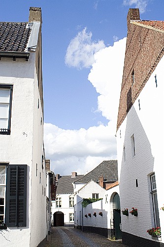 SBCD20100829 (15)