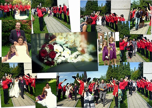 SBCD20100911 (1)