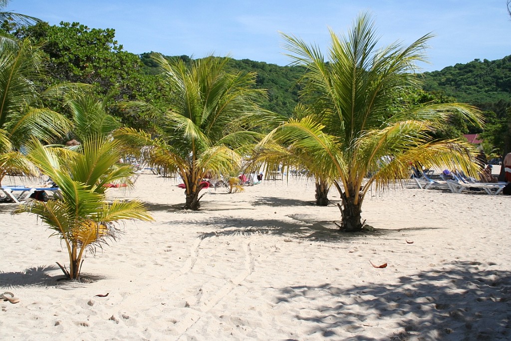 cruise075.JPG