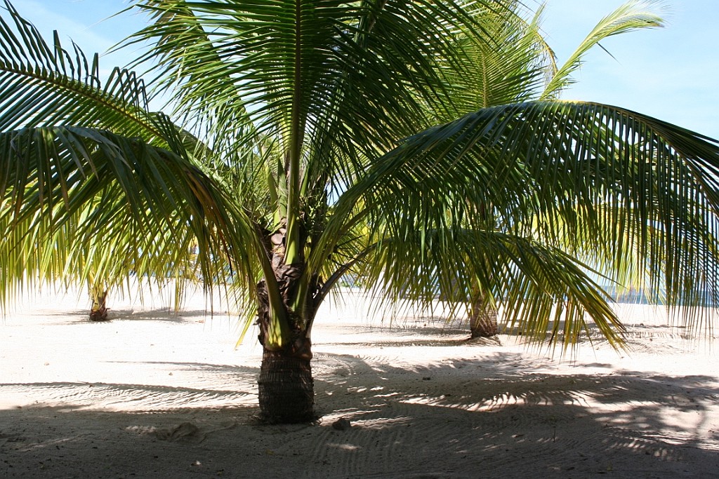 cruise079.JPG