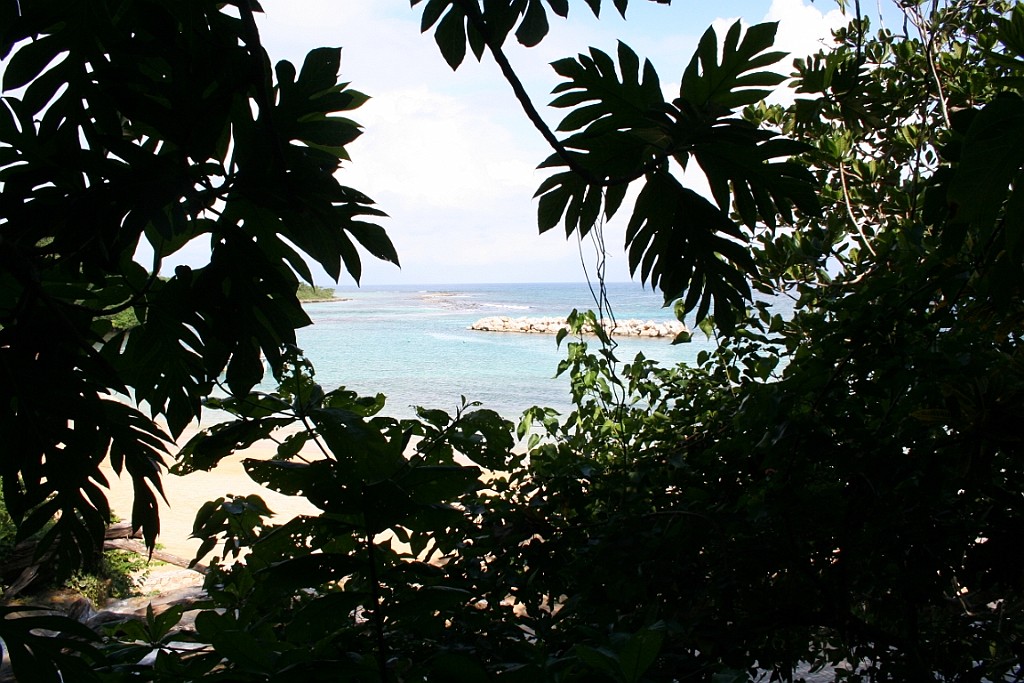 cruise104.JPG