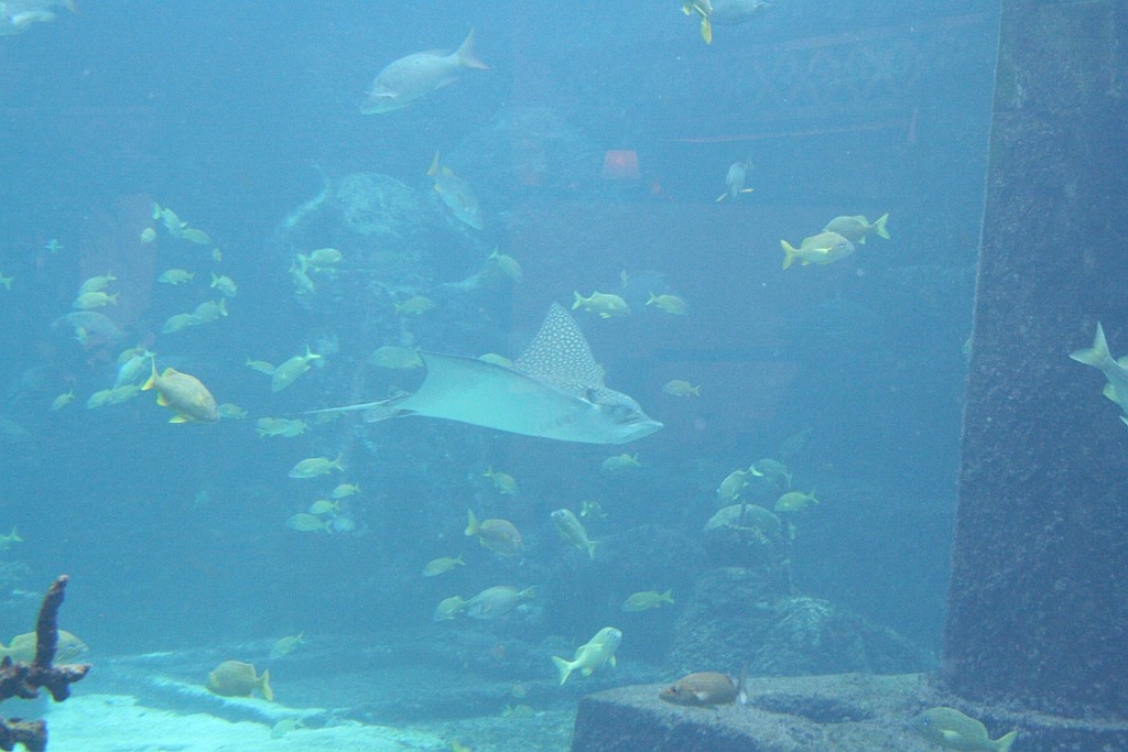 cruise144.JPG