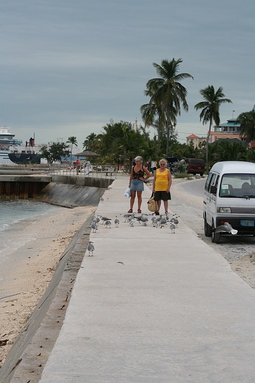 cruise183.JPG