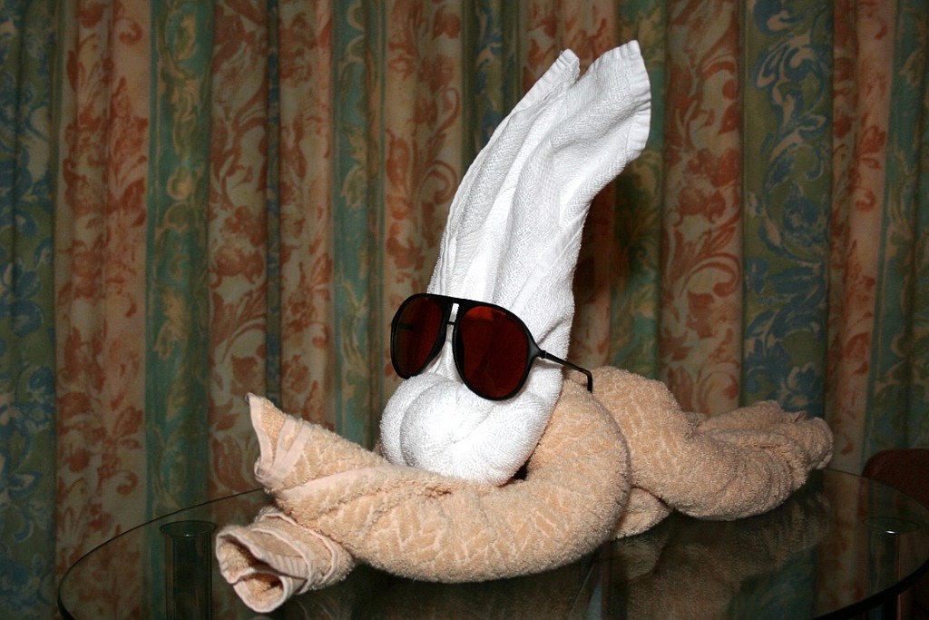 cruise224.JPG