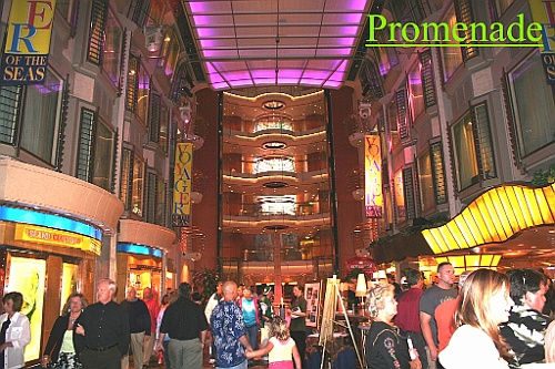 cruise011