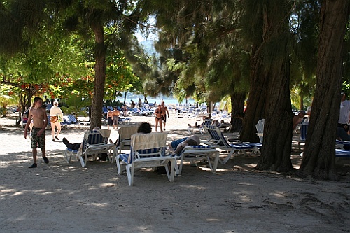cruise070
