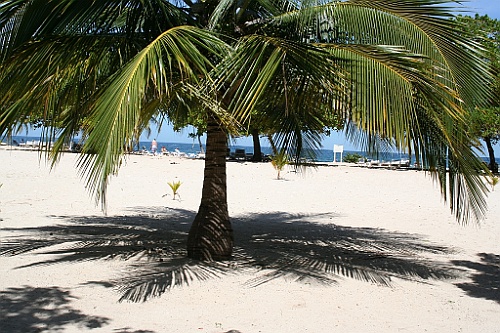 cruise071