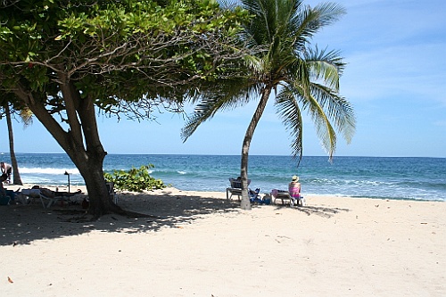 cruise072