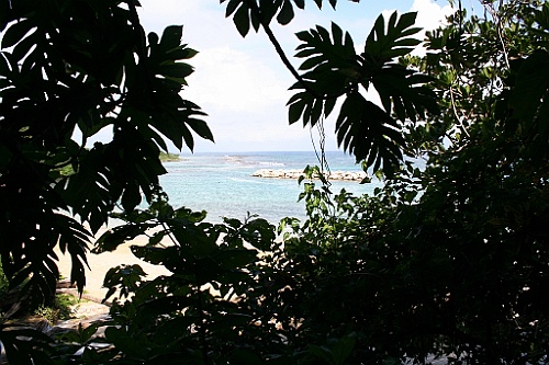 cruise104