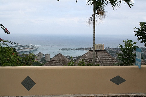 cruise113