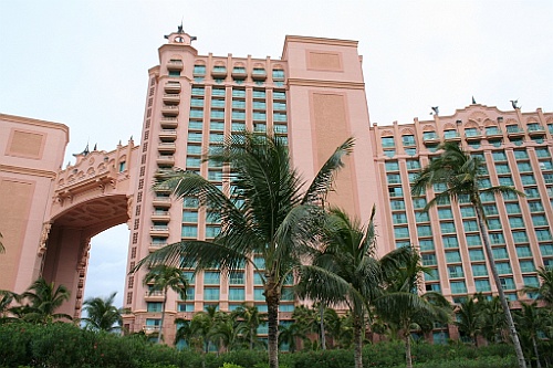 cruise136
