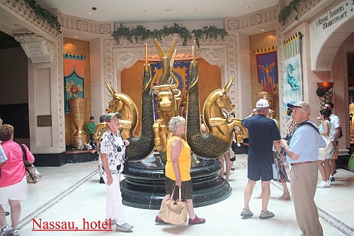 cruise141