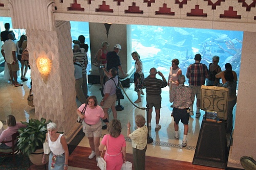 cruise142