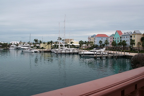 cruise153