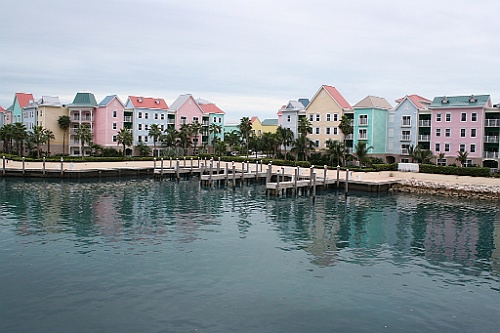 cruise154