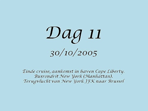 cruise228