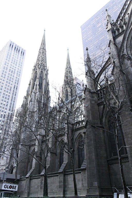 cruise043.jpg