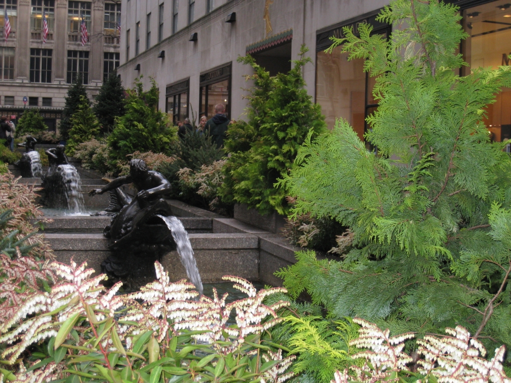 cruise051.JPG