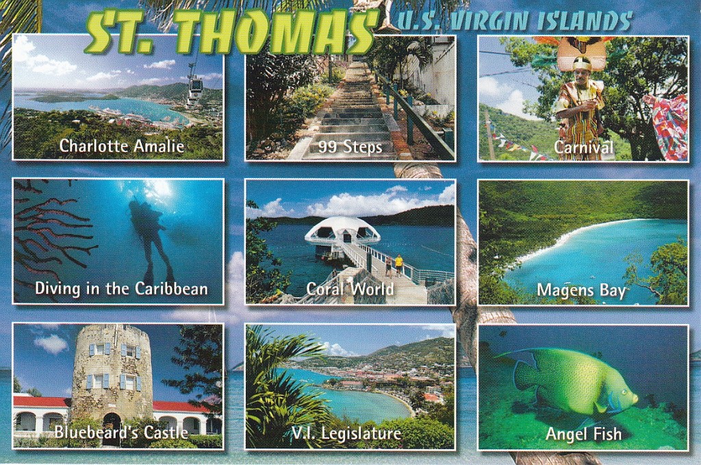 cruise370.jpg