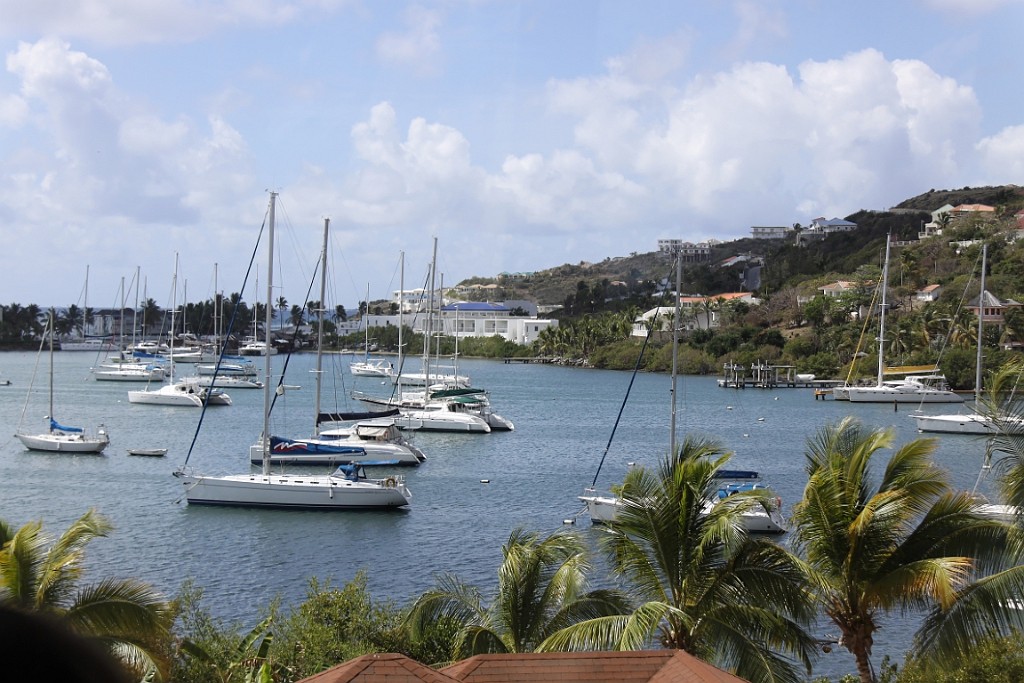 cruise464.jpg