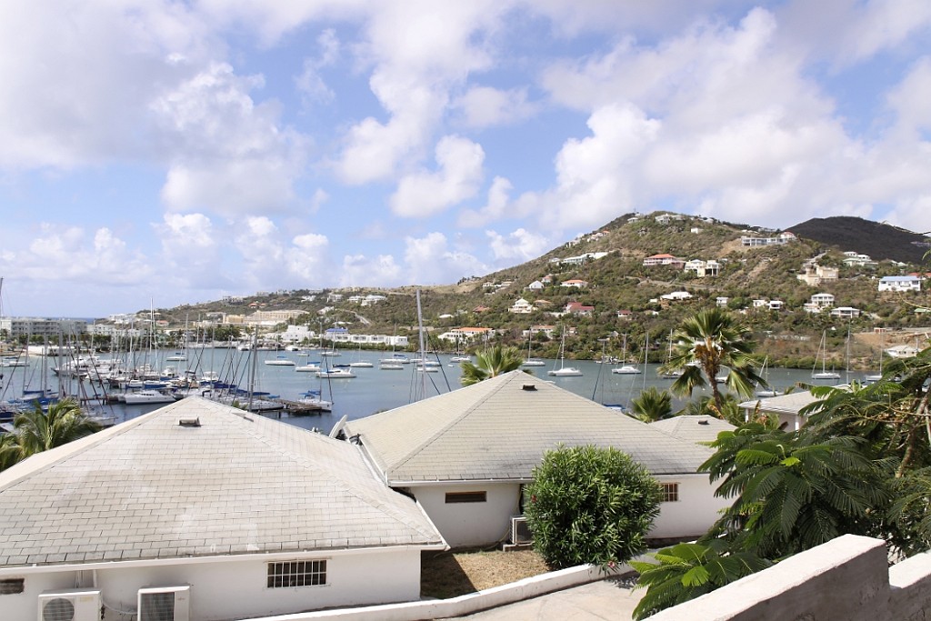 cruise468.jpg