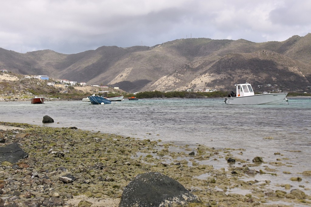 cruise478.jpg