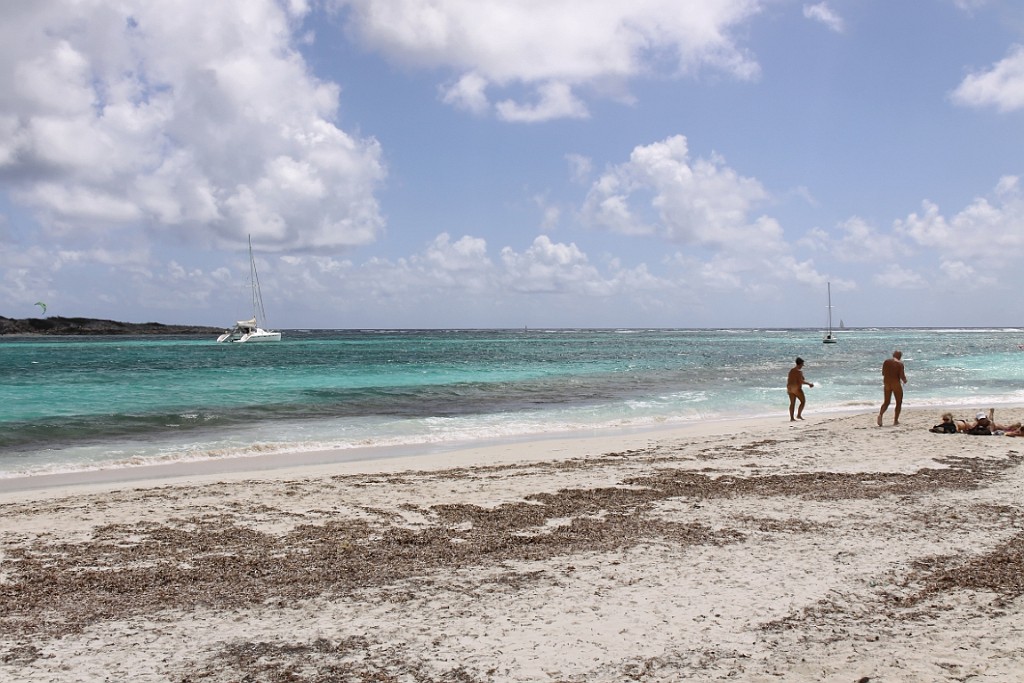 cruise484.jpg